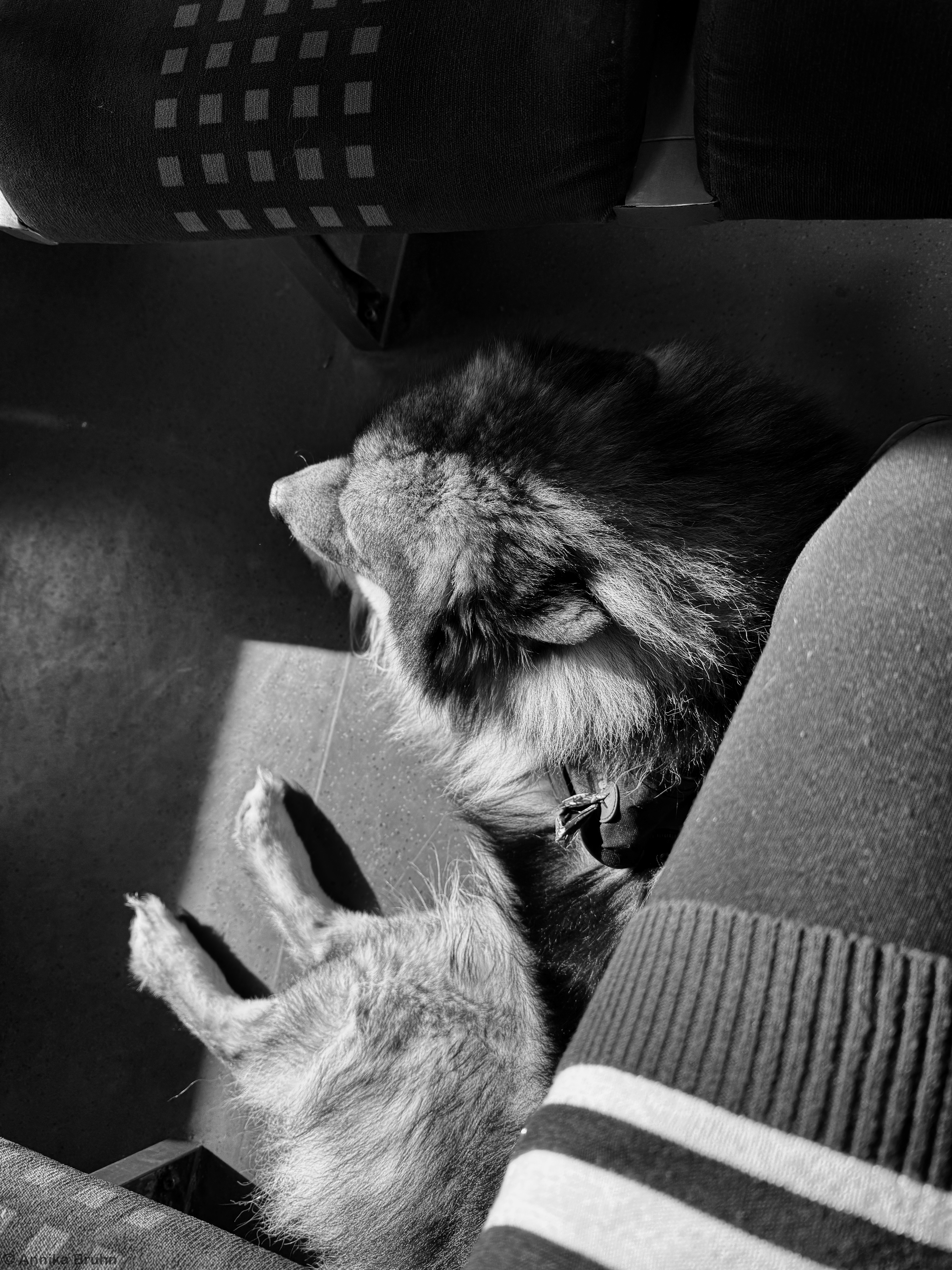 Q und ich fahren mit der Bahn nach Karlsruhe